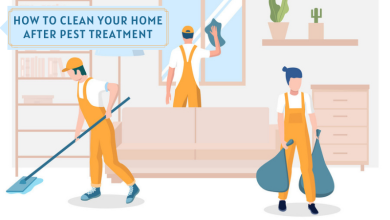 How to Clean Your Home after Pest Treatment