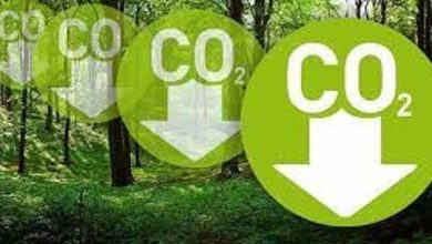 CO2 Reduction