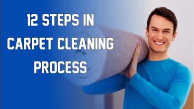 12 Steps in Carpet Cleaning Process