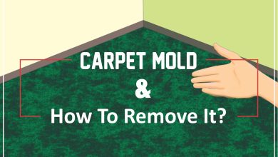 Carpet Cleaning Bankstown - Carpet Mold & How to Prevent It