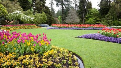 featured-image-backyard-landscaping