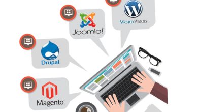 Web and CMS development