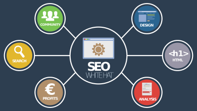 Seo service in jaipur