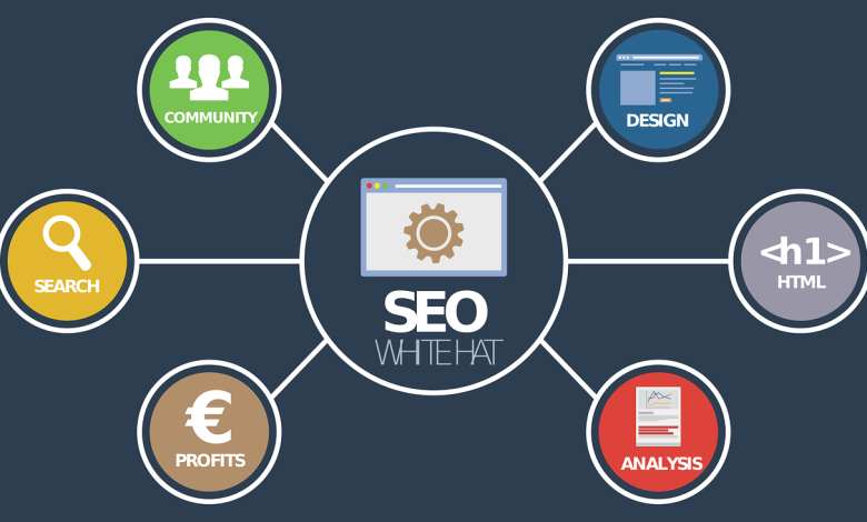 Seo service in jaipur